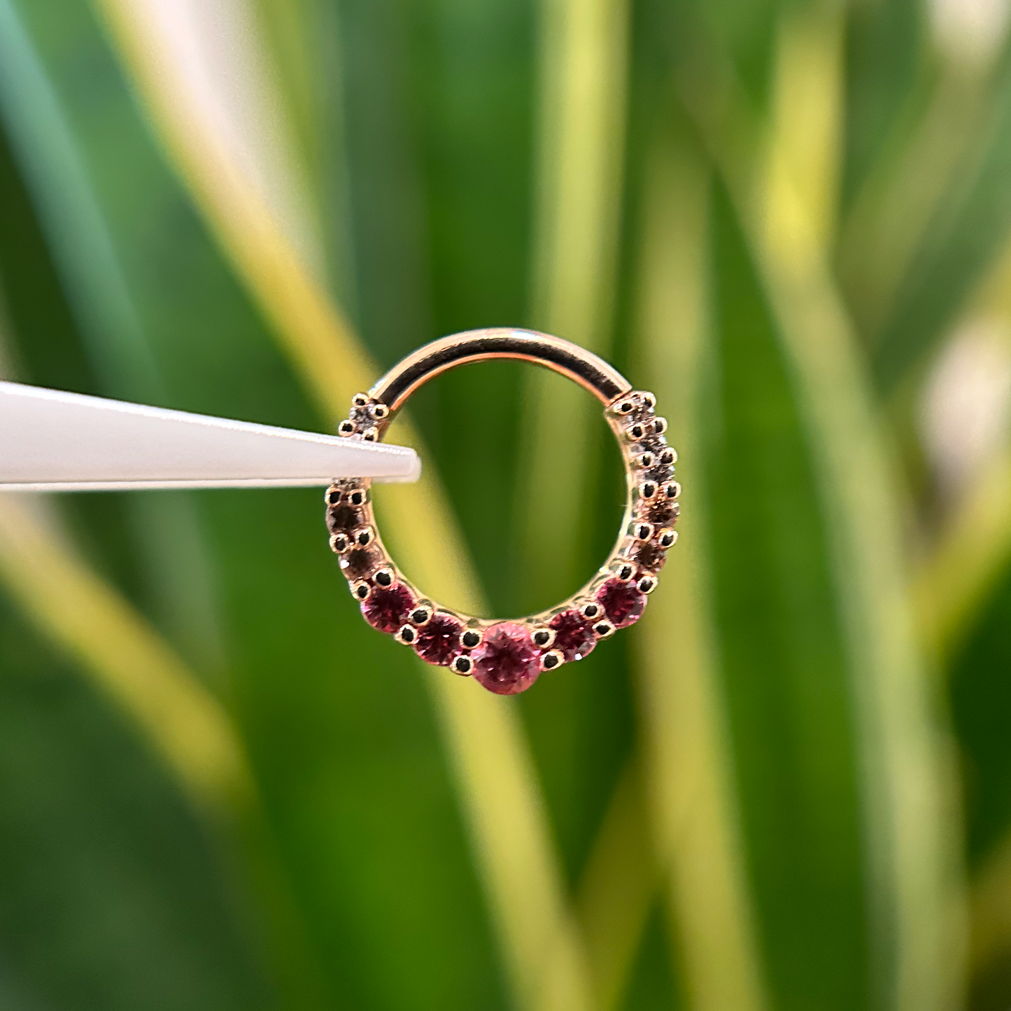Graduating Oaktier Hinge Ring