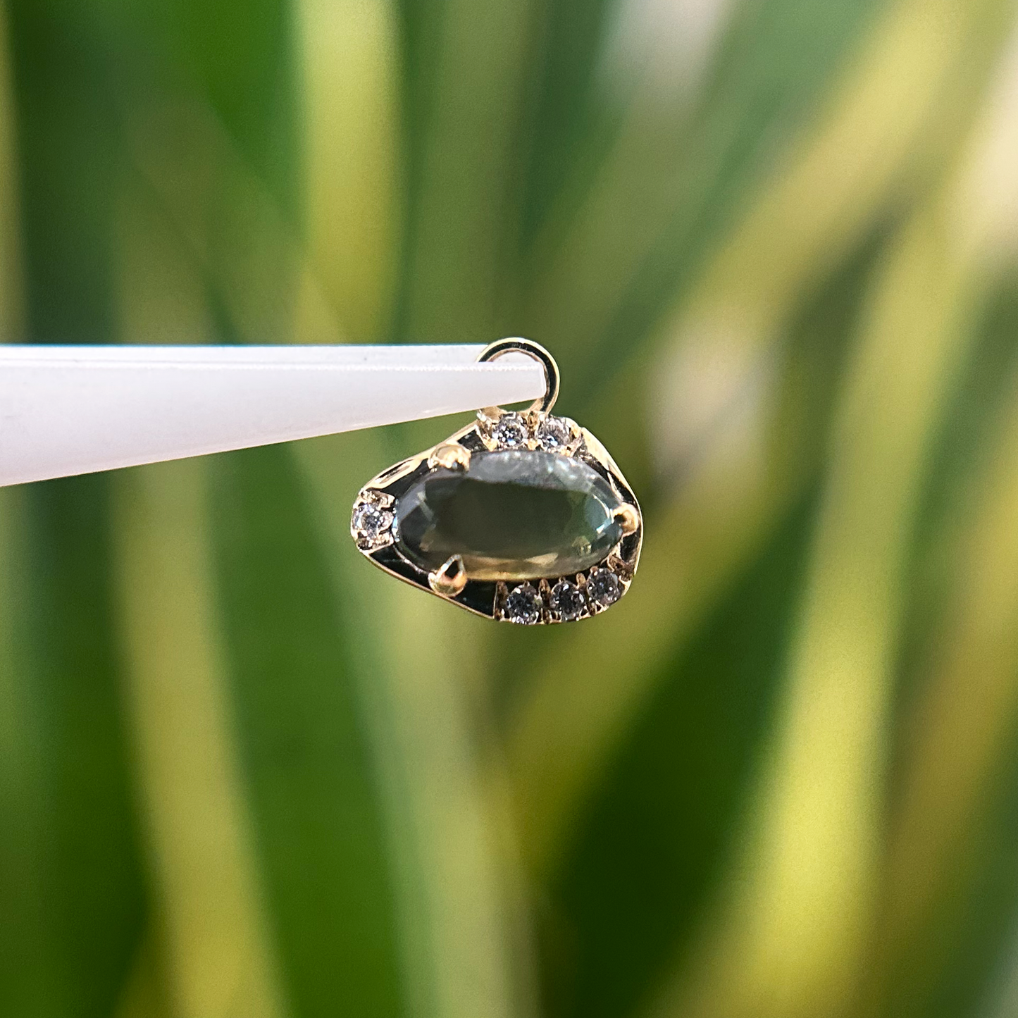 Paloma Charm