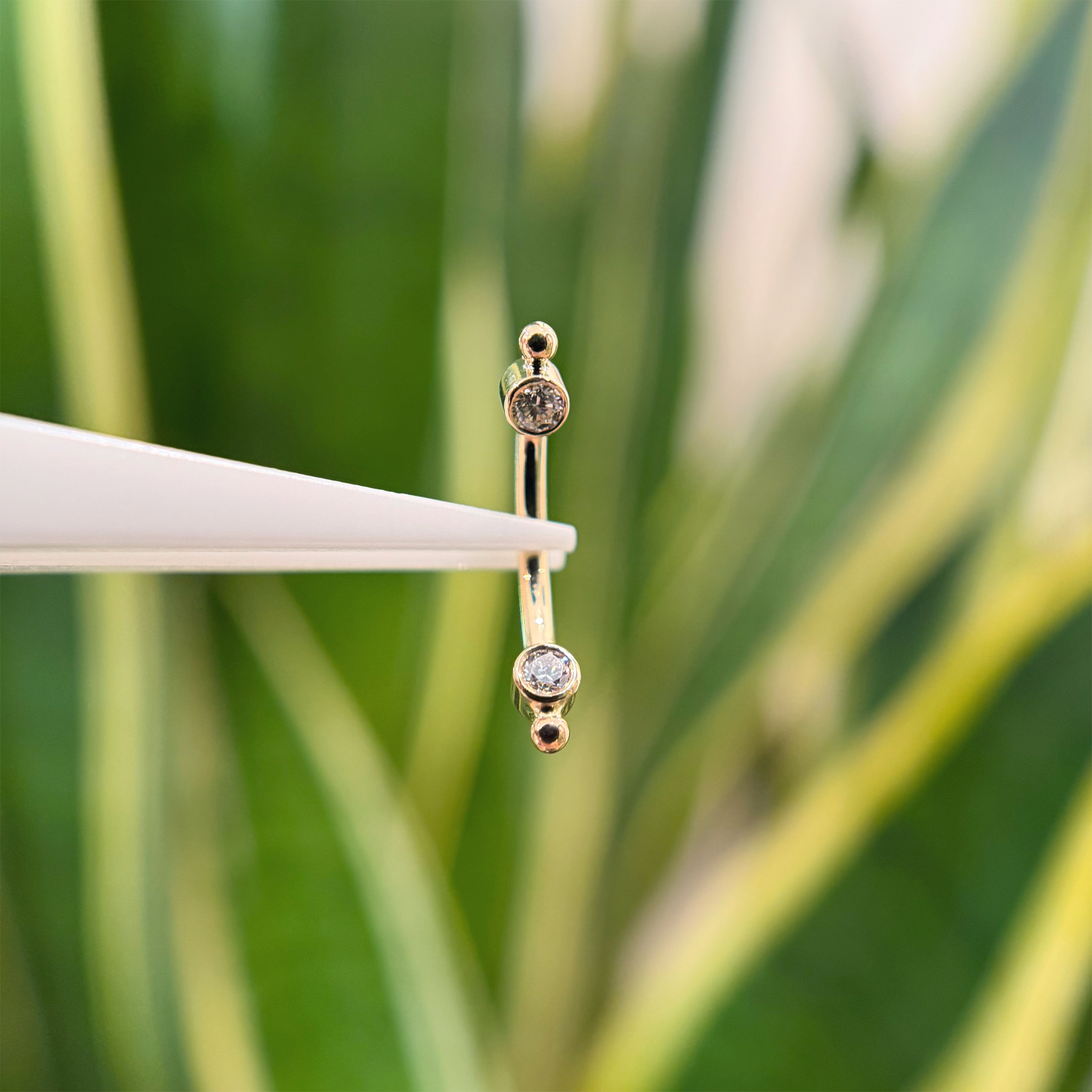 Single Bead Accent Curved Barbell